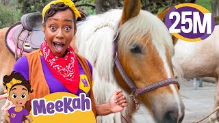 Meekah Learns to Take Care of Horses ! Blippi and Meekah Kids TV