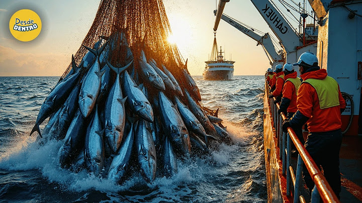 ASÍ se CAPTURA y PROCESA el ATÚN ROJO | El NEGOCIO MILLONARIO del PESCADO MÁS EXCLUSIVO 🐟