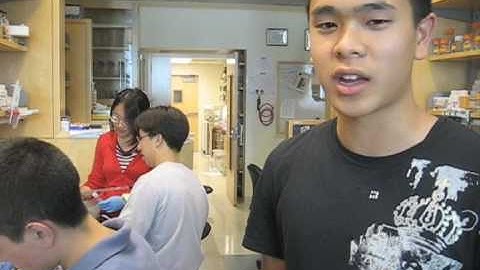 iGEM Three perspectives