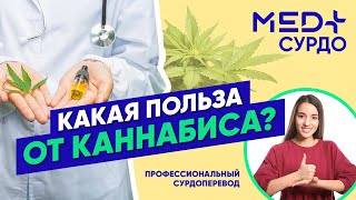 Зачем нужен каннабис в Украине? Как лечебная марихуана помогает от ПТСР