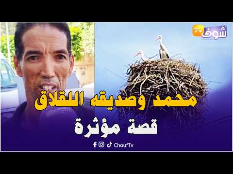 Mohamed and His Stork Friend: A Touching Story Told by the Young Man from Kenitra and the Reason ...
