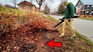 FILTHY Sidewalk CAKED With Years Of Dirt & Leaf Buildup Gets Cleaned Up