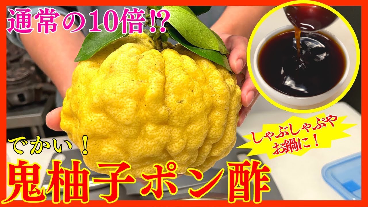 超巨大な柚子で冬のしゃぶしゃぶやお鍋にぴったりな柚子ポン酢を作る