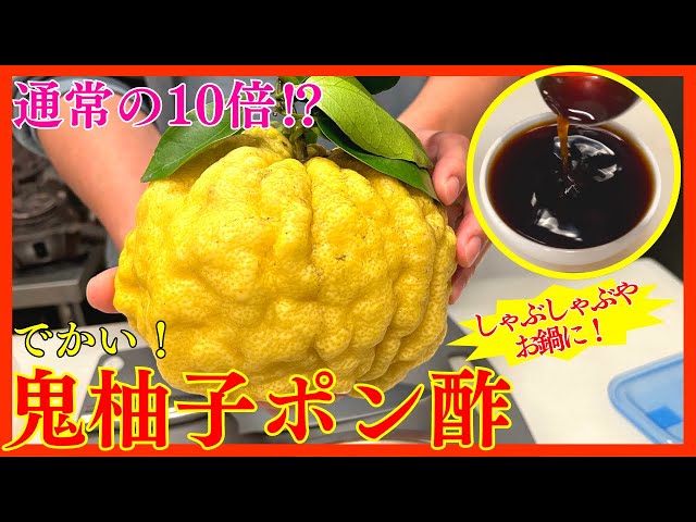 超巨大な柚子で冬のしゃぶしゃぶやお鍋にぴったりな柚子ポン酢を作る