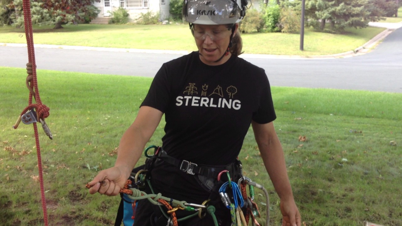 Women's Tree Climbing (WTCW 2016) Gear gear gear YouTube