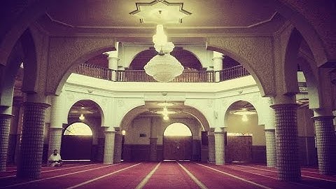 سورة فصلت (1-46) تلاوة جميلة