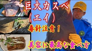 エイ カスべ の捌き方 煮つけ 煮こごりの作り方 北海道稚内 248 Youtube