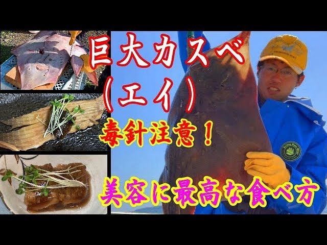 エイ カスべ の捌き方 煮つけ 煮こごりの作り方 北海道稚内 248 Youtube
