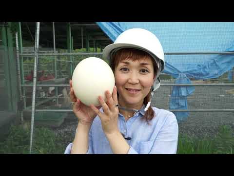 中特グループ事業紹介動画（Long VER. 11min)