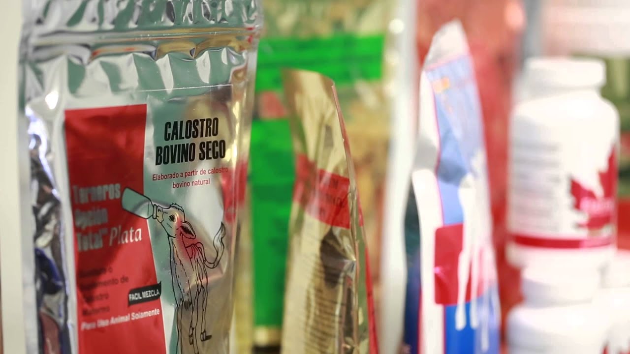 COLOSTRUM - HOW IS COLOSTRUM PRODUCED? - YouTube