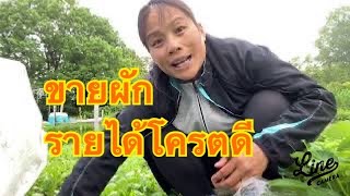 ชีวิตเมียฝรั่งในนอร์เวย์ ทำเกษตรอินทรีย์เหลือกินก็ได้ขาย เพิ่มรายได้ให้กับครอบครัว ขายดีมากๆ