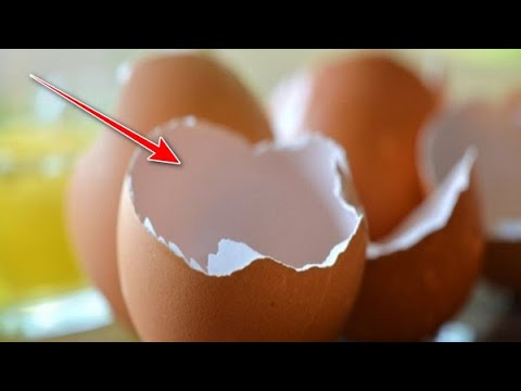 Βίντεο: Μην πετάτε τα κελύφη των αυγών