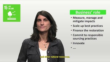 Sustainable Development Goal SDG 15 Life on Land