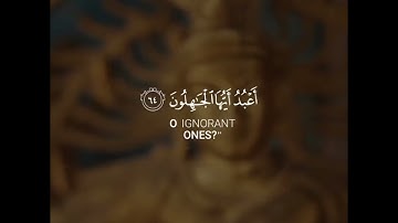 قرآن كريم بصوت القارئ اسلام صبحي ❤️ تلاوة خاشعة تريح الفؤاد | حالات واتس اب دينية قصيرة. 🍂