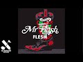 Capture de la vidéo Mr Flash - Flesh (Official Audio)