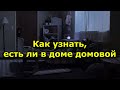 Как определить, есть ли в доме домовой 🏡