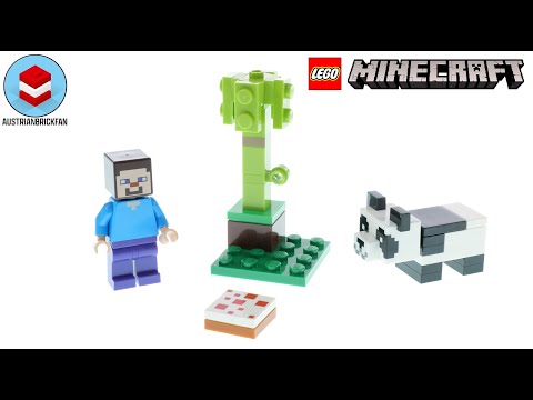 LEGO Minecraft 30672 Steve and Baby Panda Speed Build Review