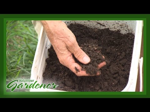 Vídeo: Com Triar Un Arc Compost