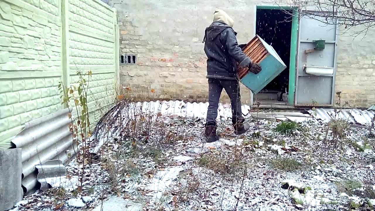 Ленивый пчеловод. Работа на пасеке в ноябре или не работа - YouTube