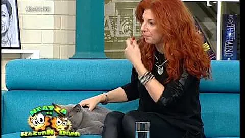 Cum să hrănești corect pisica