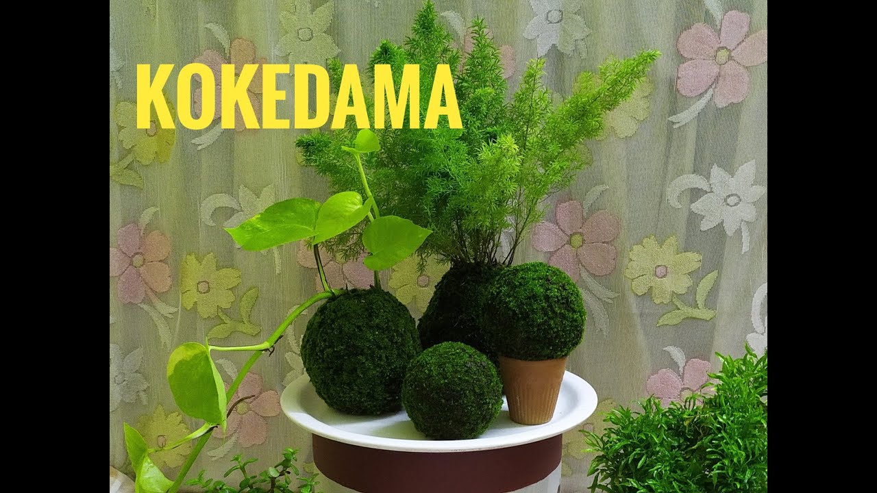 How to Make a Kokedama (Moss Ball) — Fiber Forms