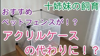 小鳥の冬支度♪アクリルケースの代わり　おすすめ　保温カバー　鳥かごにかぶせるだけ♪