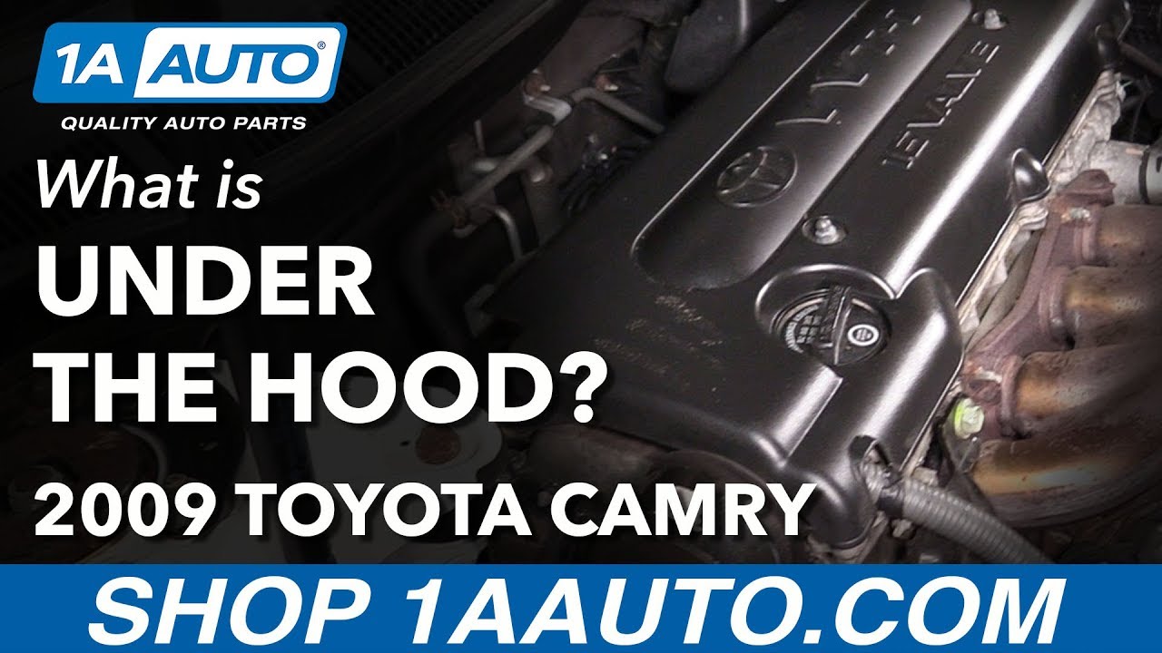 What is Under the Hood of My 06-11 Toyota Camry - YouTube