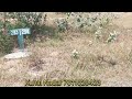 Yeida Plot for Sale At Sector-18 2C-233 Registered East Facing (300sqmeter) Query Call@7011029423