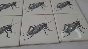 Testing my TIO2 Application Method for Repeatability Using Creality Ender 3/Falcon 10W Module