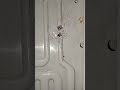 Again Fridge and Knife got to meeting. refrigerator chiller fridge
