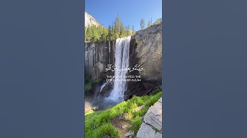 لَن يَضُرُّوكُمْ إِلَّا أَذًى - من سورة آل عمران - القارئ نايف الفيصل  #القرآن_الكريم #المصحف