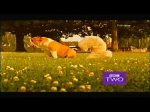 BBC2 Junction 2006