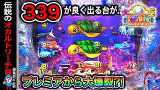 【P大海物語5】実践動画！339が良く出る台⁈(編集部ビル君実践動画2024/03/30）