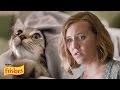 Life with a cat  presented by buzzfeed  friskies