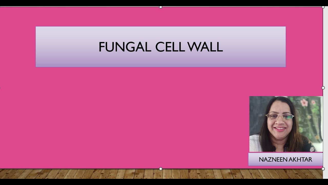FUNGI CELL WALL 