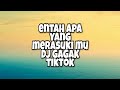 Entah Apa Yang Merasuki Mu DJ Gagak Tiktok (Lirik)