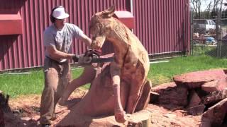 Copy Of Jordan Anderson Carving Bull Elk With Chainsaw