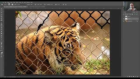 Photoshop Tutorial: Remove a chain link fence from your photos