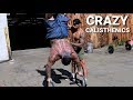 DOES SIZE MATTER? - CRAZY CALISTHENICS WORKOUT with BIG BOY and MICHEAL VAZQUEZ