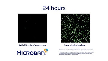 Confocal Time Lapse Video