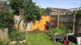 Fig Tree Timelapse