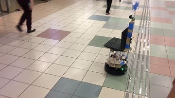 Deep-learned Pedestrian Avoidance Policy for Robot Navigation