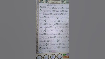 تلاوة| سورة النبأ | #حب