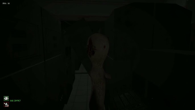 SCP CB Multiplayer (v1.2.5) & SCP: Nine-Tailed Fox - All Weapons 
