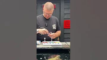 Problems In The Koi Pond 