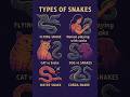 "Types of Snakes 🐍 | Deadliest & Most Unique Snakes in the World" #Viper #Anaconda #Snake#