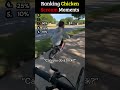 Best Chicken Scream Moments #fail #fails #shorts