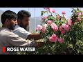 Anantnag: Rose Fields Bloom Into Hub of Handmade Natural Rose Water