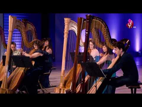 الهارب من أجمل الآلات الوترية ويطلق عليها القيثارة المصرية