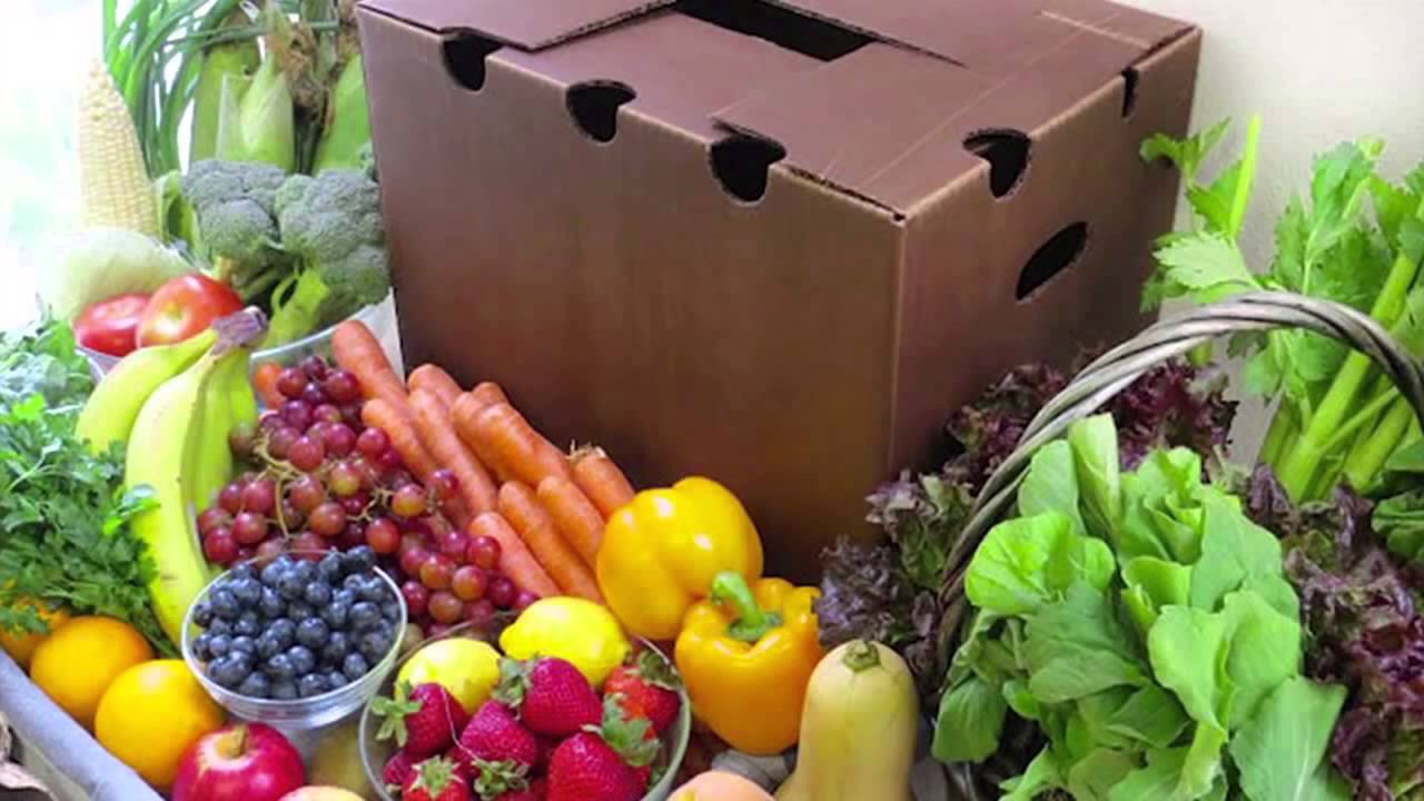 Affordable Organic Produce in Miami! 866-944-9564